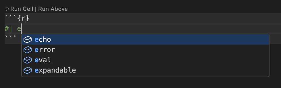 Positron Editor with a code cell option comment. The user has typed `#| ` followed by `e` and the code completion menu is open, showing available options including `echo`, `error`, `eval` and `expandable`.